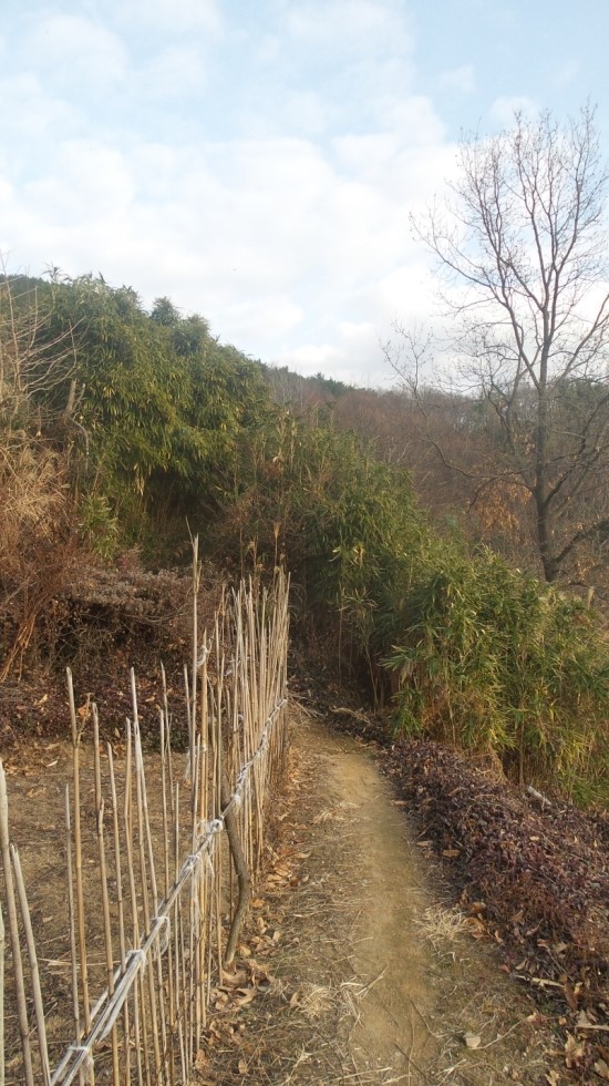 동산다방 이미지