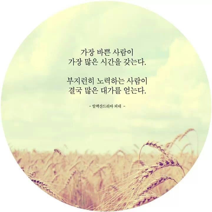 피네 이미지