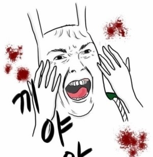 모모트 이미지