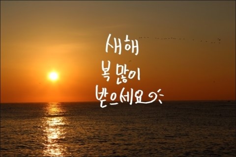 유학ABC 이미지