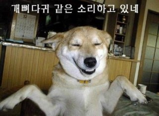 카페릴리(CAFE LILY) 이미지