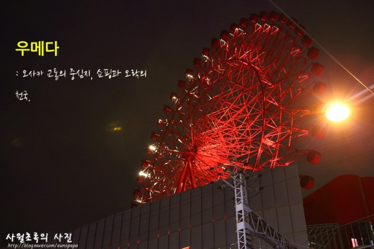 나비오주 이미지