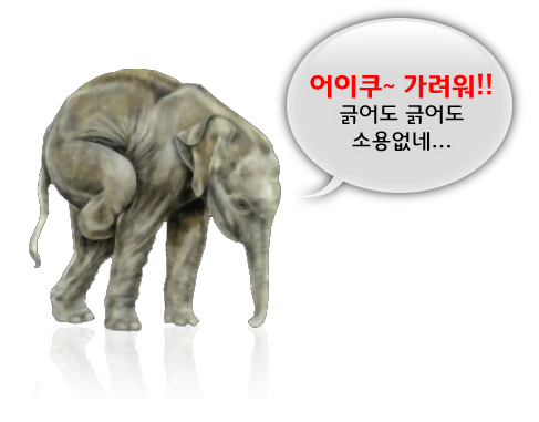 코코실버(주) 이미지