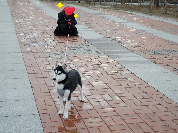은후 이미지