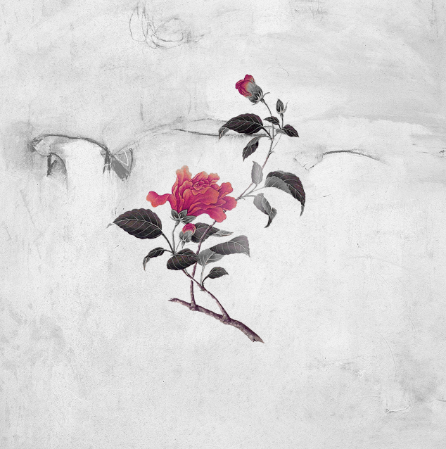 TEXTURE(텍스쳐) 이미지