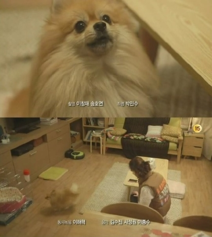 바라 이미지