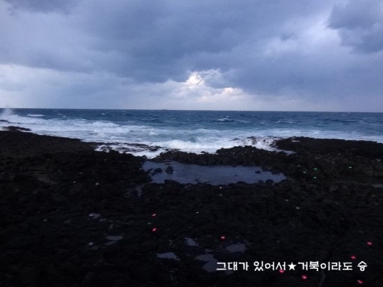 파스쿠찌용담해안도로점 이미지