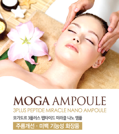 성화개발주 이미지