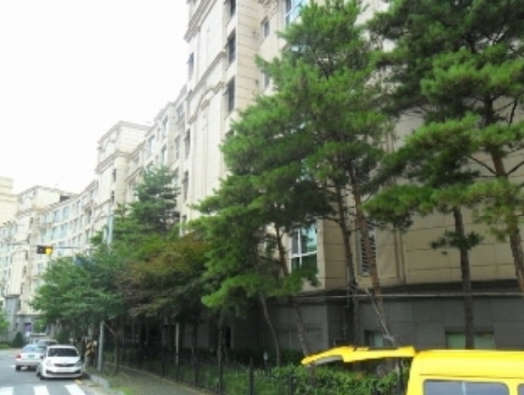아일랜드404 이미지