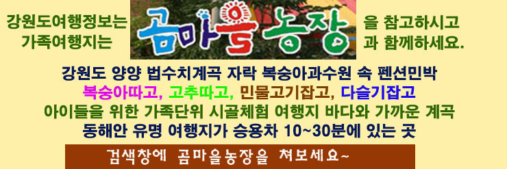 곰마을민박 이미지