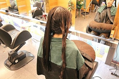 하이크라스 이미지