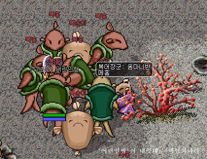 용궁복어 이미지