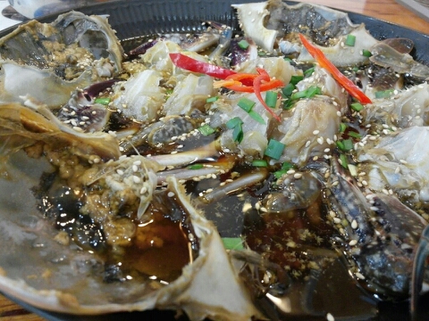 해변의 꽃게 이미지