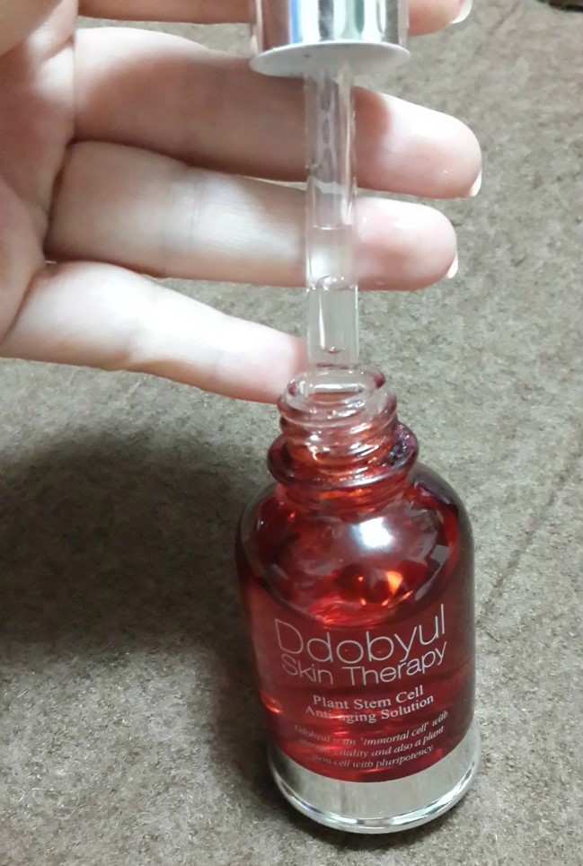 에스엔안 이미지