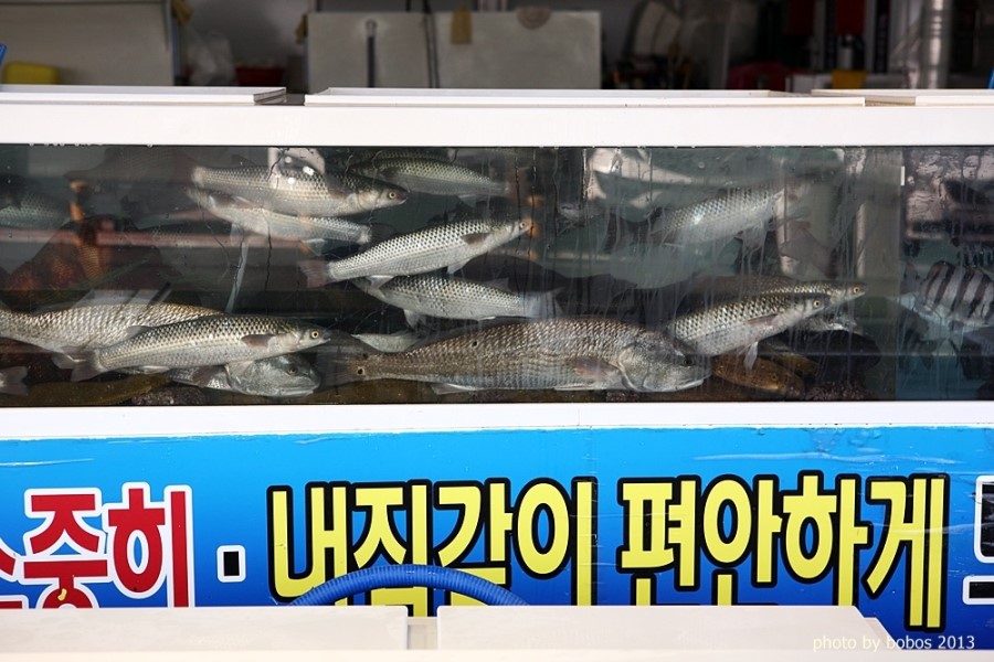 유정호대게 이미지