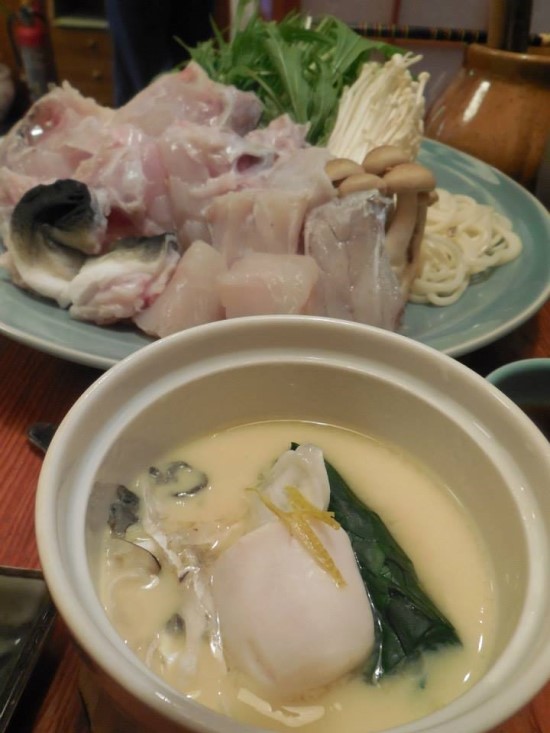 사카나 이미지