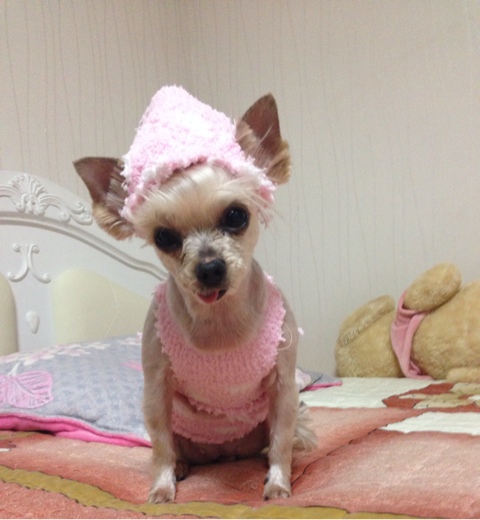 수니인테리어 이미지