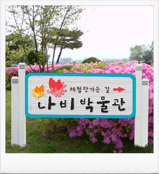 날으는곰나무공작소 이미지