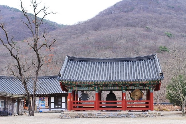 신평투어 이미지