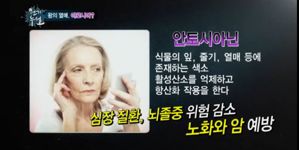 애정아로니아 이미지