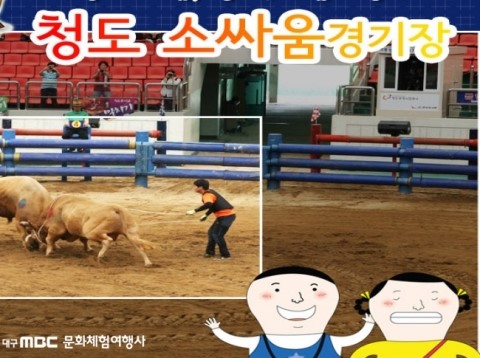 새마을여행사 이미지