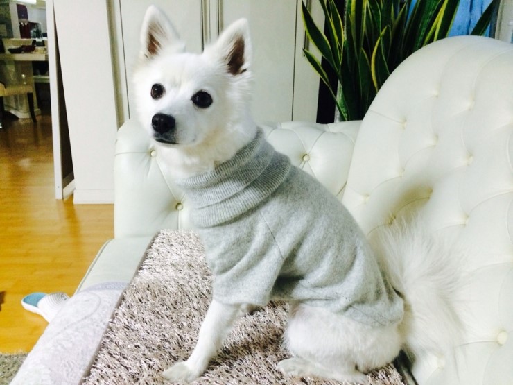핸드메이드팩토리 이미지