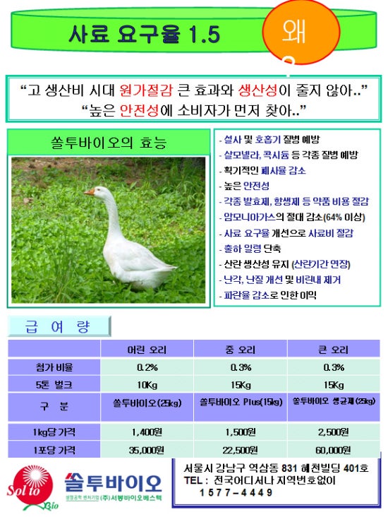 오리용 이미지