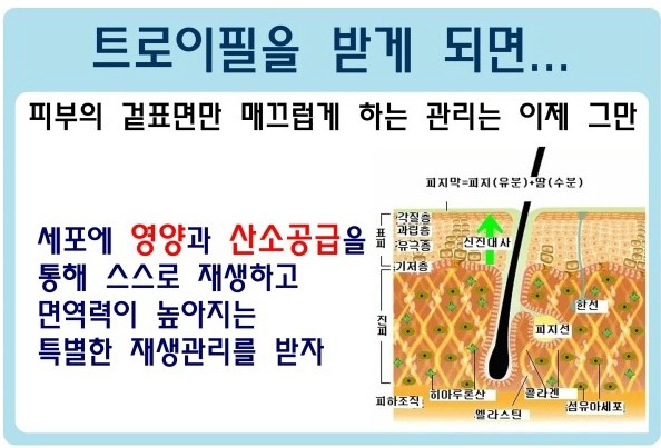 선 피부앤바디 이미지