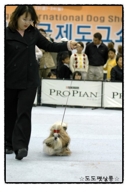 청도체형관리 이미지