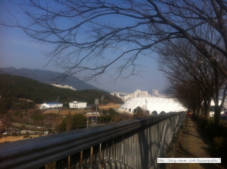 부산버스공동환승터미널 이미지