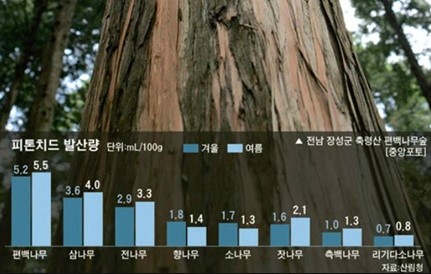키즈월드팡팡 이미지