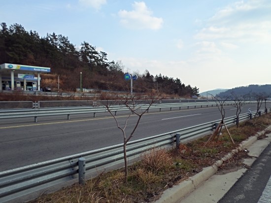 천지농협주유소 이미지