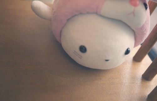 남지커텐이불 이미지