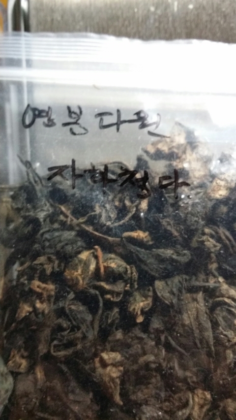 영봉다원 이미지
