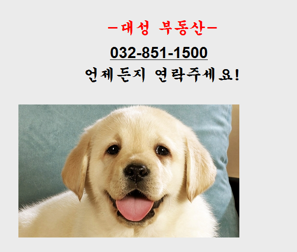이랜드월드아이파크몰 이미지