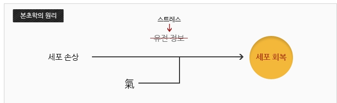 푸른솔한의원 이미지