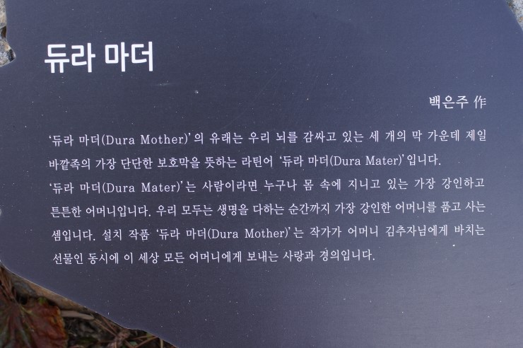 듀라마더 이미지