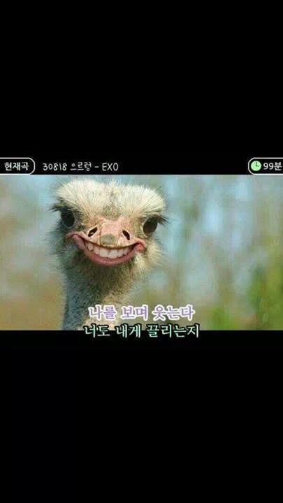 오케이헤어 이미지
