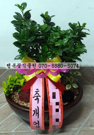 삼정이용원 이미지