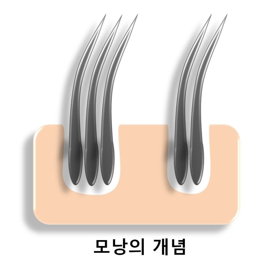 헤어모션 이미지