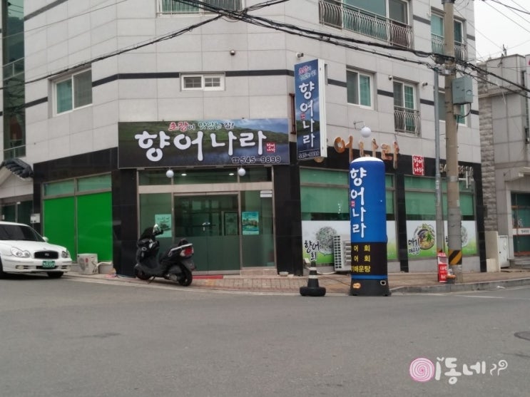 향어나라초장이맛있는집 이미지