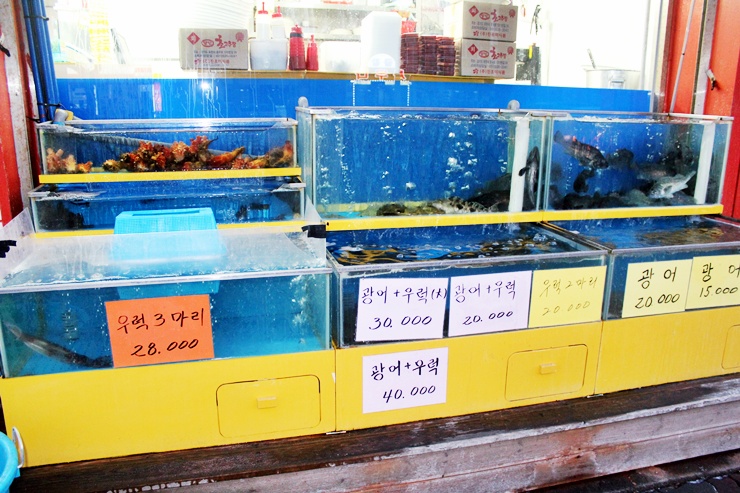 활어회포장점 이미지