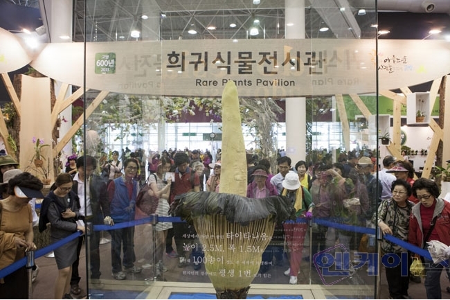 엔케이글로벌 이미지