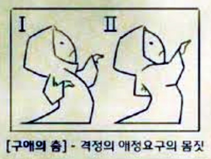 갑부보쌈 이미지
