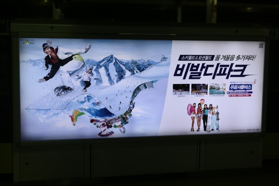 비발디여행사 이미지