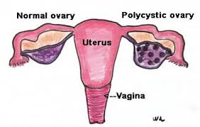 단아한의원 이미지