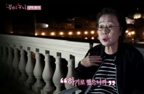 제일정 이미지