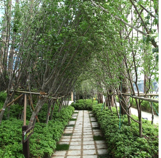 서면조경 이미지