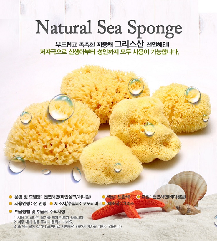 해면 이미지