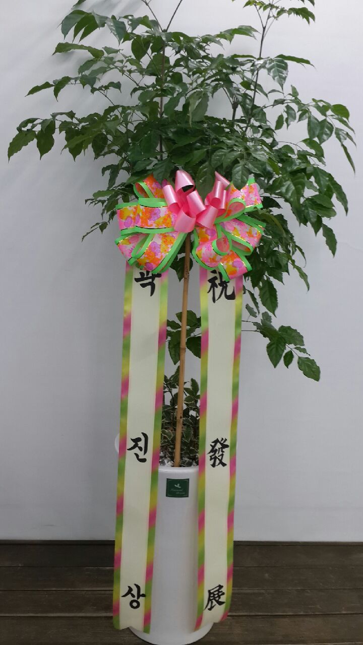 법무법인신천 이미지